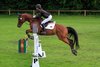 IMG-7473