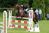 IMG-6895