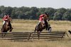IMG-4862