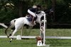 IMG-9489