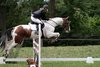 IMG-9690