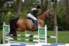 IMG-9818