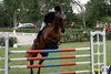 IMG-9782