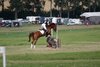 IMG-6070