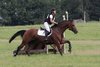 IMG-6133