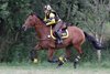 IMG-8085