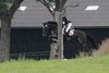 IMG-8225
