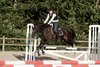 IMG-2889