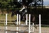 IMG-2885