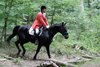 IMG-4109