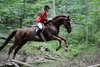 IMG-4282