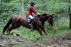 IMG-4283