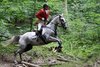 IMG-4362