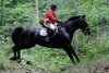 IMG-4356