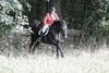 IMG-6549