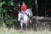 IMG-6714