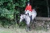 IMG-6788