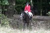 IMG-6720