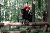 IMG-6140
