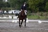 IMG-6962