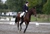 IMG-6963