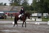 IMG-6943