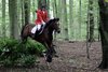 IMG-7334