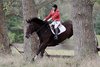 IMG-8002