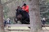 IMG-8068