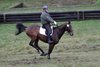 IMG-9263