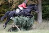IMG-0941
