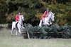 IMG-0931