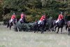 IMG-1038