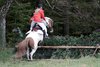 IMG-1163