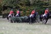 IMG-1039