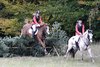 IMG-0818