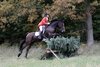 IMG-0796