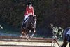 IMG-1711