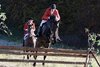 IMG-1705