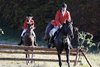 IMG-1708