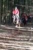 IMG-1901