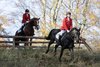 IMG-2731
