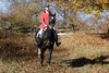 IMG-3316