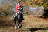 IMG-3317