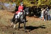 IMG-3324