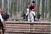 IMG-6319